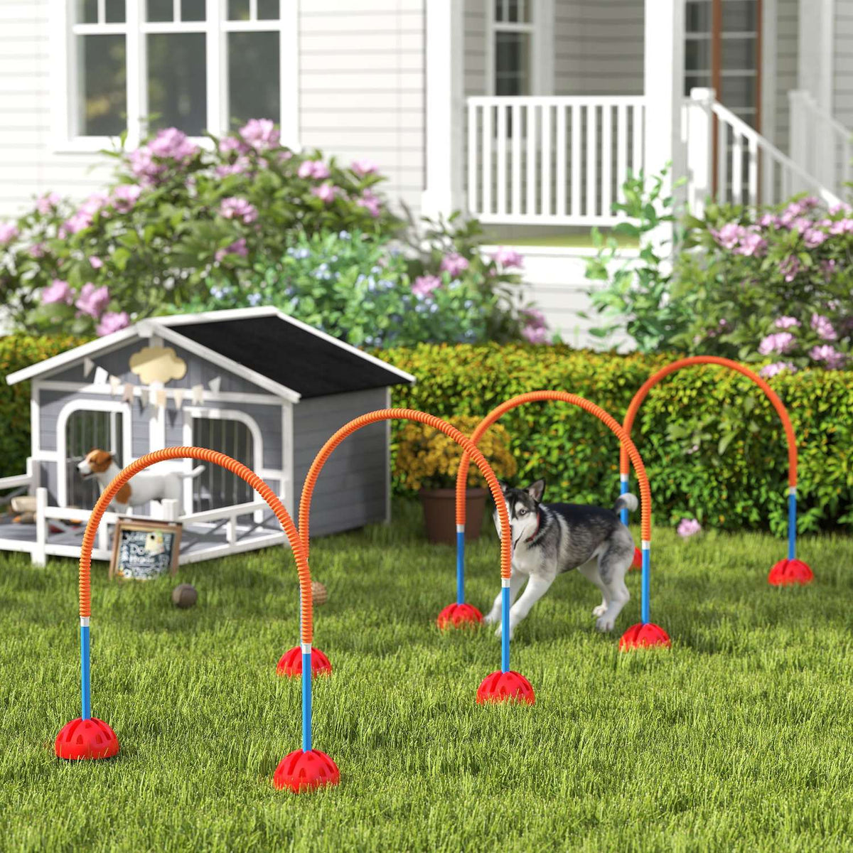 Agility-sett for hund – 5-delt justerbar treningspakke
