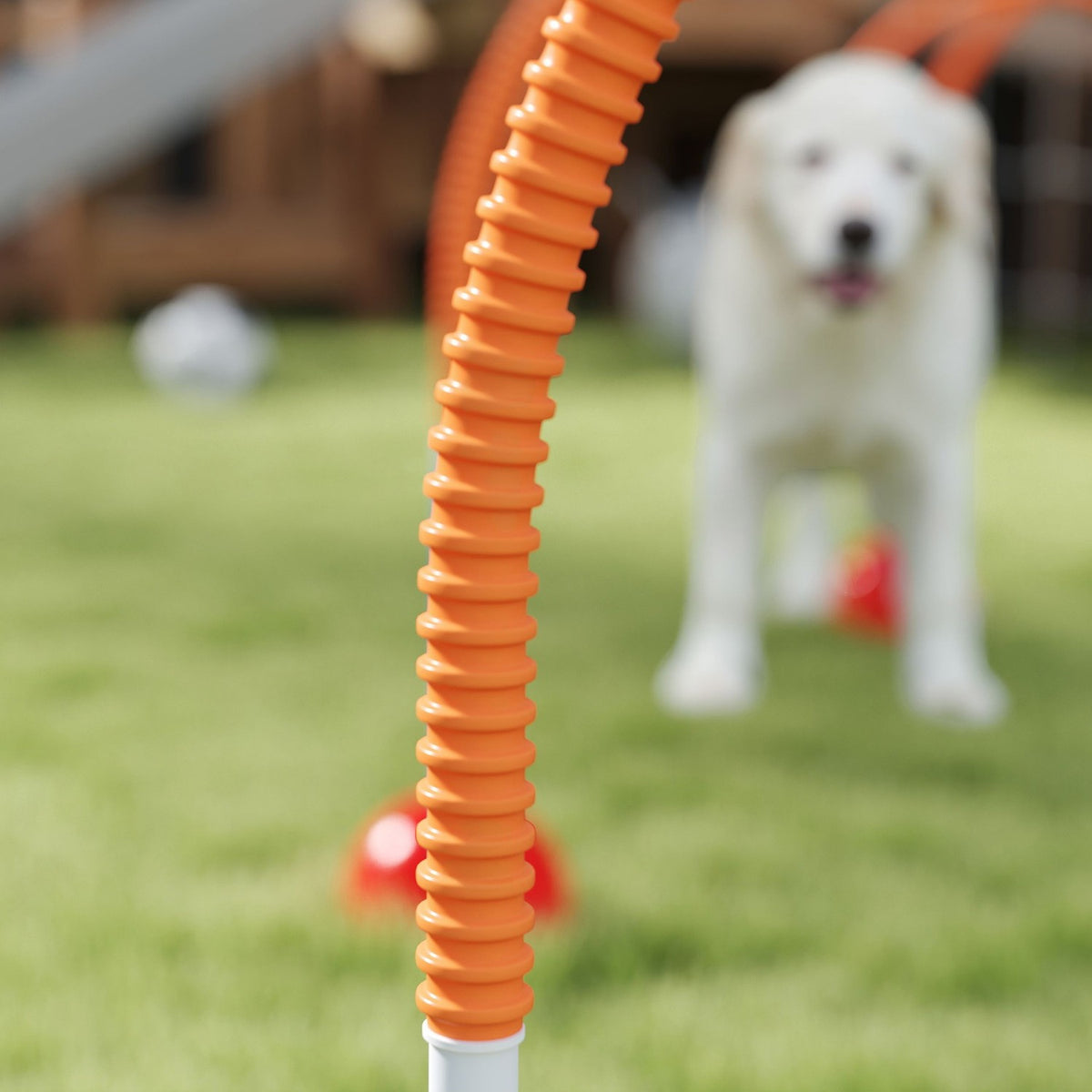 Agility-sett for hund – 5-delt justerbar treningspakke