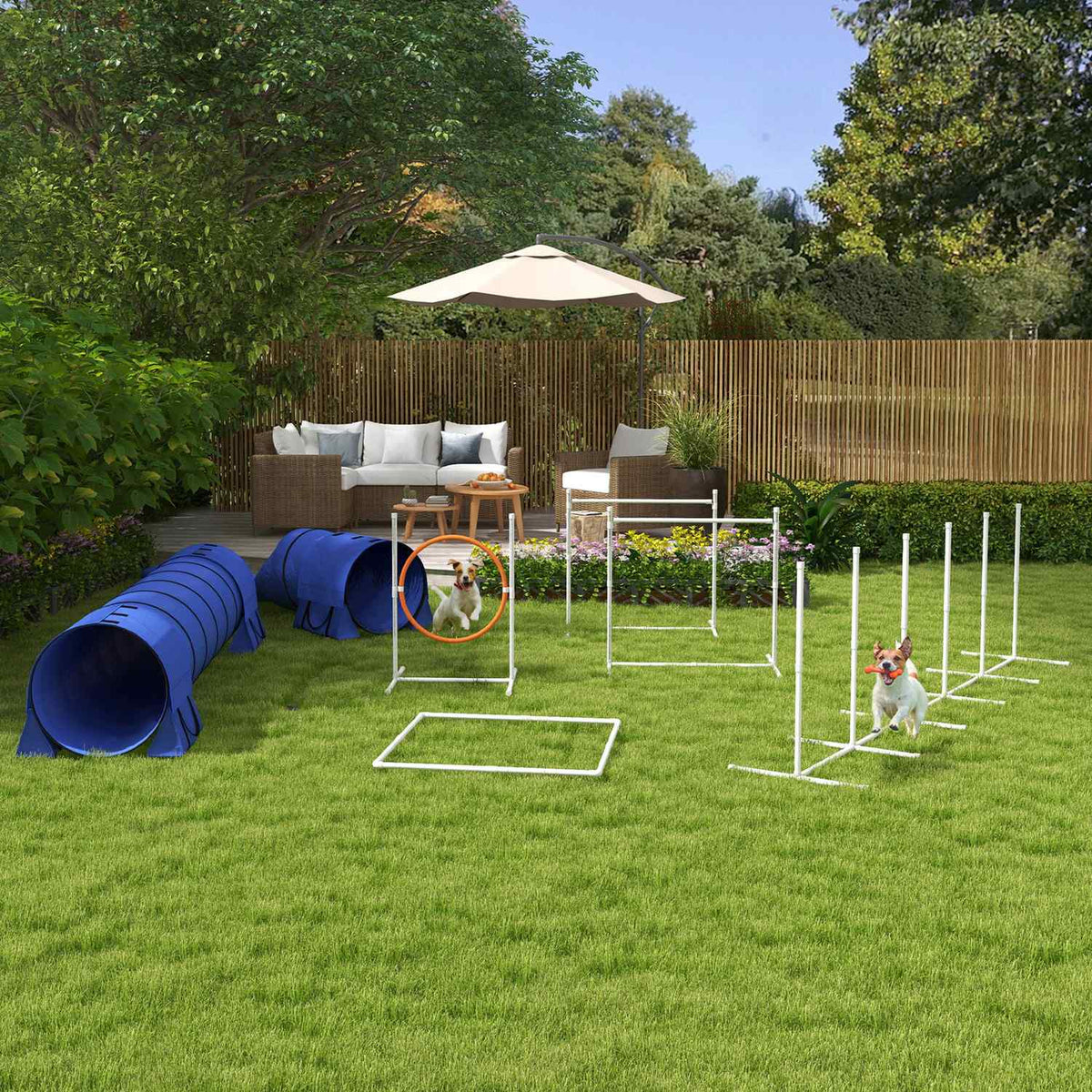 Dog Agility-sett med justerbare hindre og tunnel