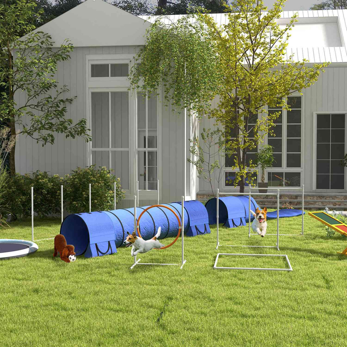 Dog Agility-sett med justerbare hindre og tunnel