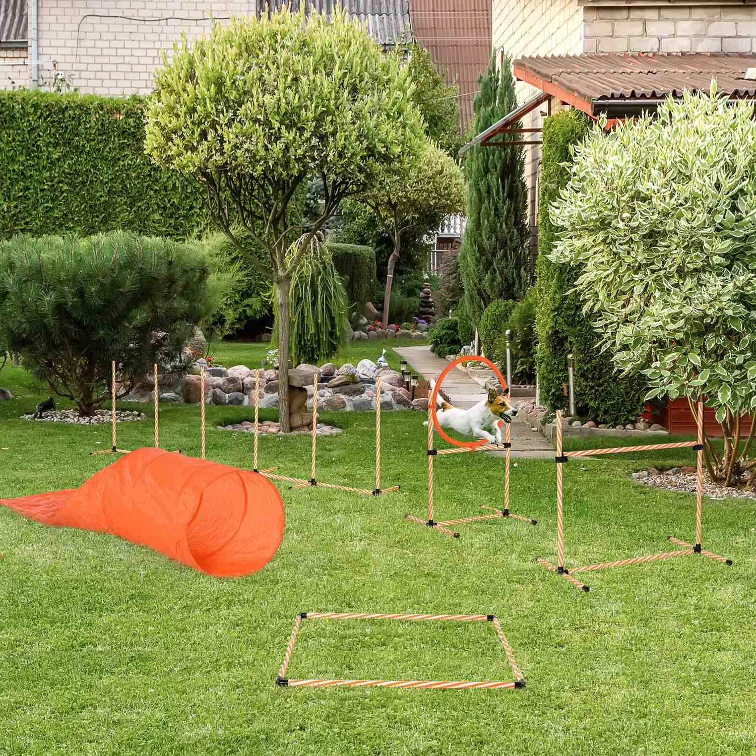 Dog Agility Set Hundetreningssett med hundetunneltrening for kjæledyr Inkluderer veske Lett å bære Plast Polyester Oransje＋Hvit