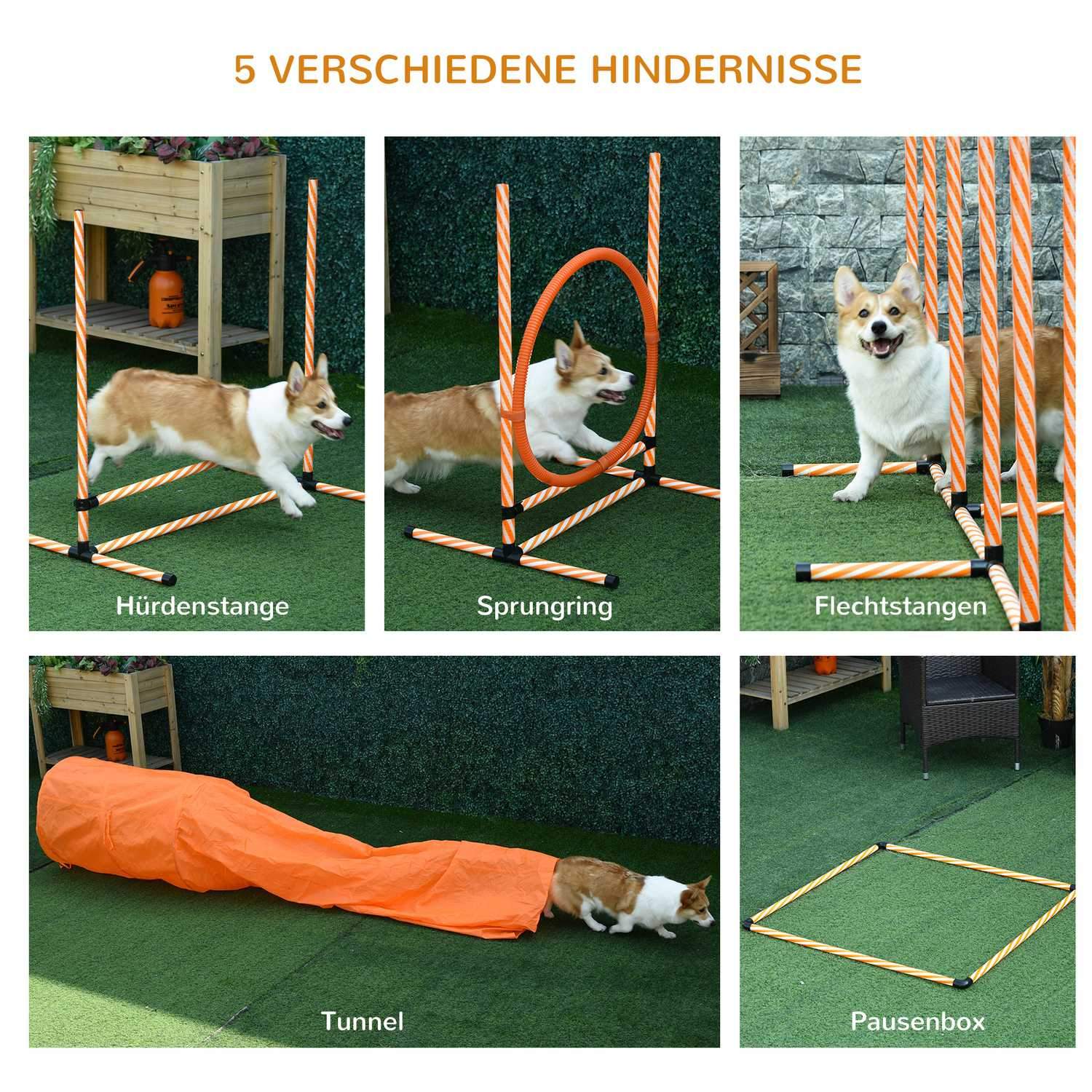 Dog Agility Set Hundetreningssett med hundetunneltrening for kjæledyr Inkluderer veske Lett å bære Plast Polyester Oransje＋Hvit