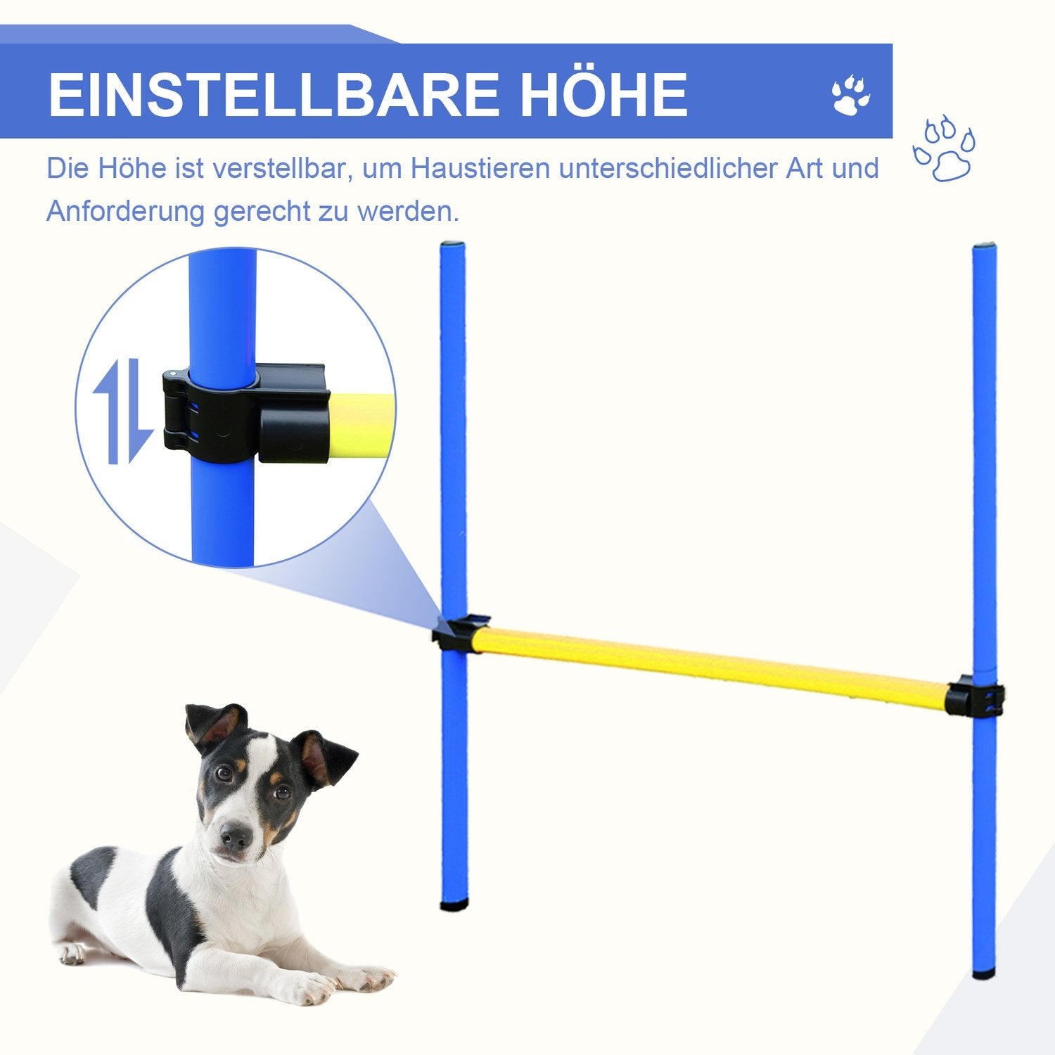 Agility Träningsset Slalom Häck Tunnel Hundsport Träningsområde Pe+Polyester Blå+Gul