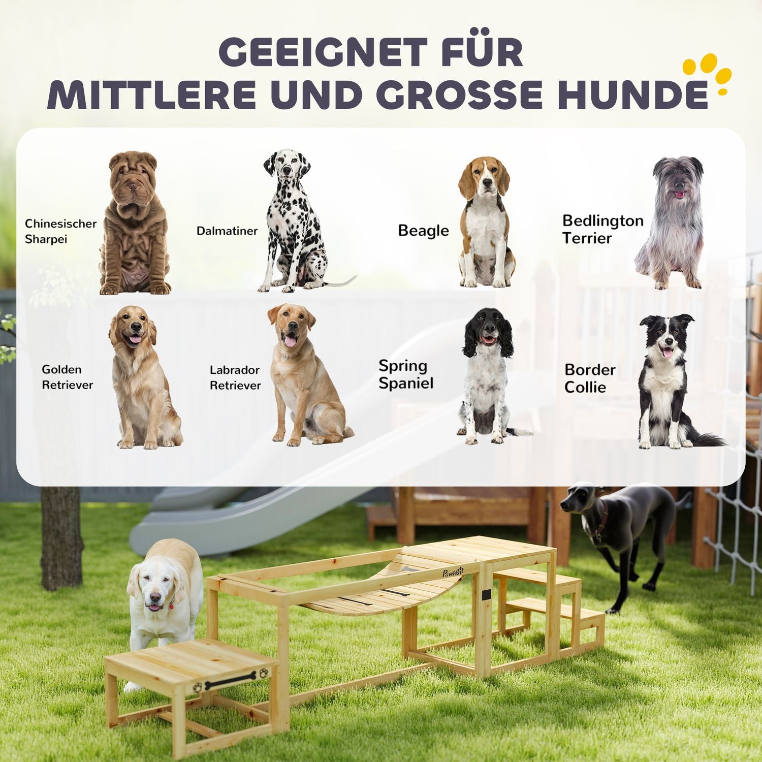 Hund Agility Set för stora hundar – Gran Wood, Set om 4