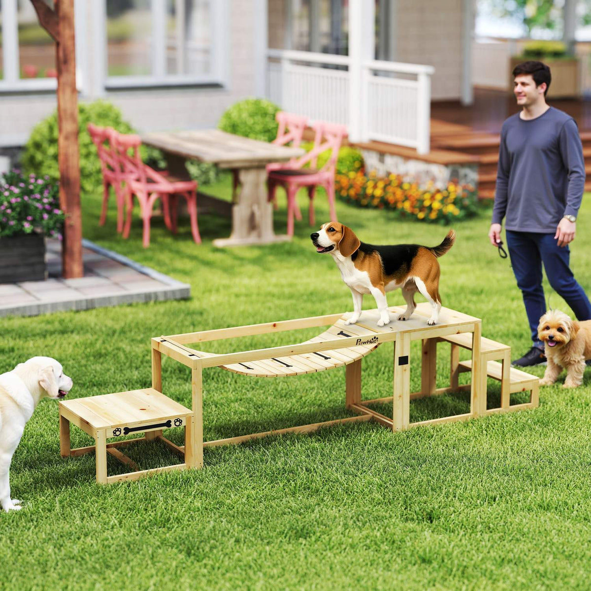Agility-sett for store hunder – gran, sett med 4