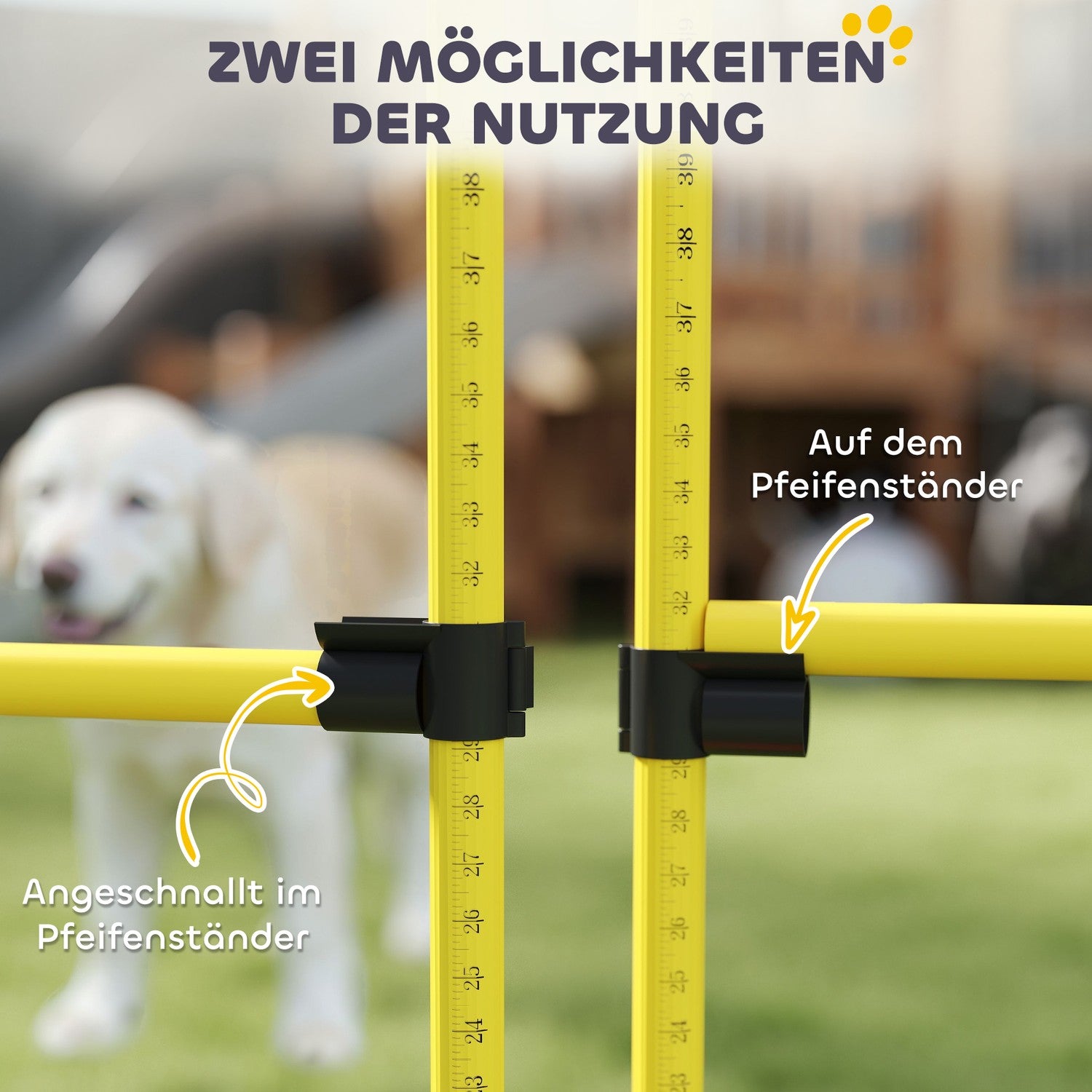 Hund Agility Utrustningsset, 5-delat med justerbara hinder