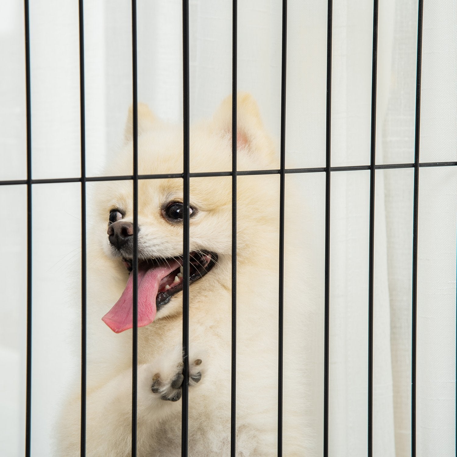 Hundport – Trä, hopfällbar, dubbelriktad, 305 x 35,5 x 82 cm