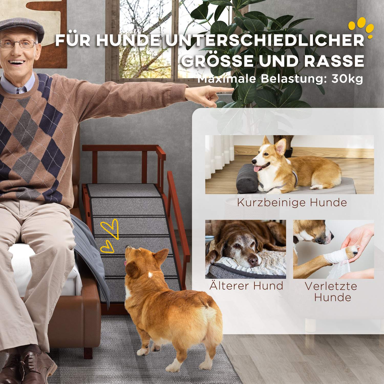 Hundramp med löstagbara skenor, halkfri, stödjer 30 kg