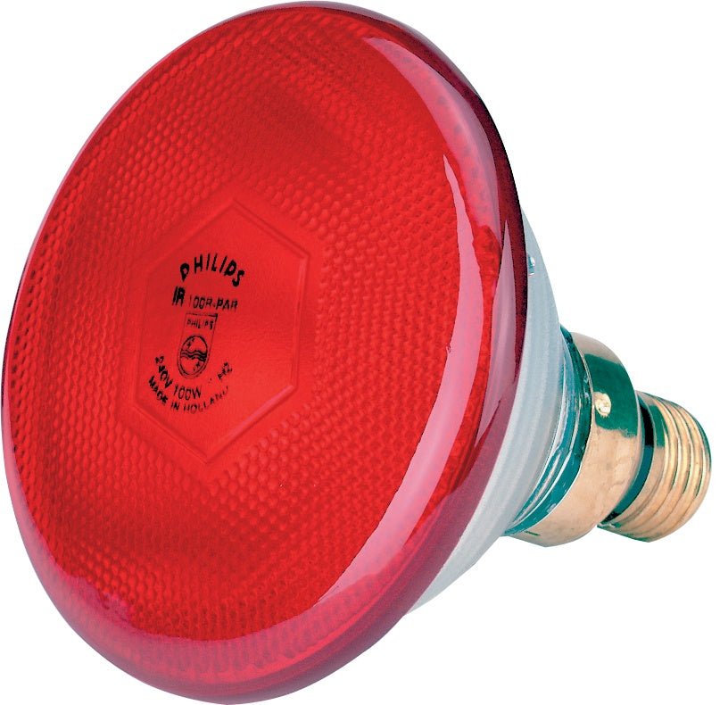 Infrarød energisparelampe 170 W rød Philips