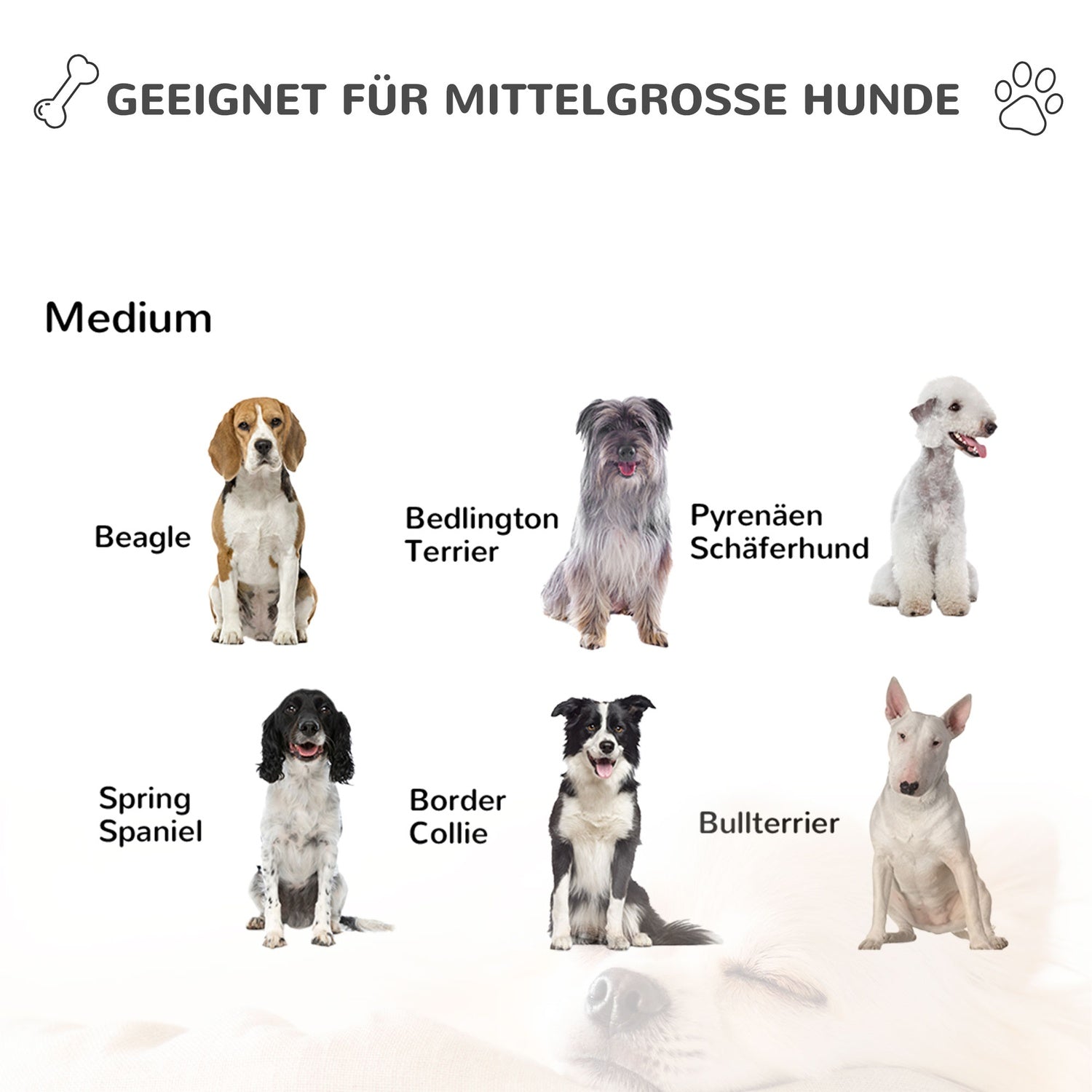 Isolerad hundkoja i trä, väderbeständig med skålar