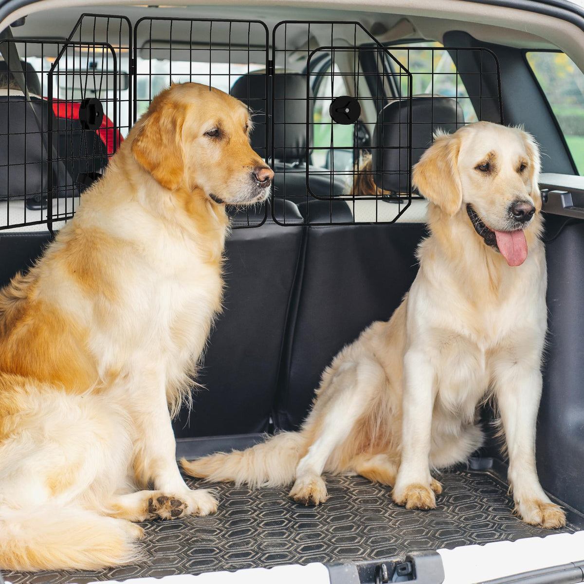 Justerbar hundebeskyttelse i svart stål for bagasjerom