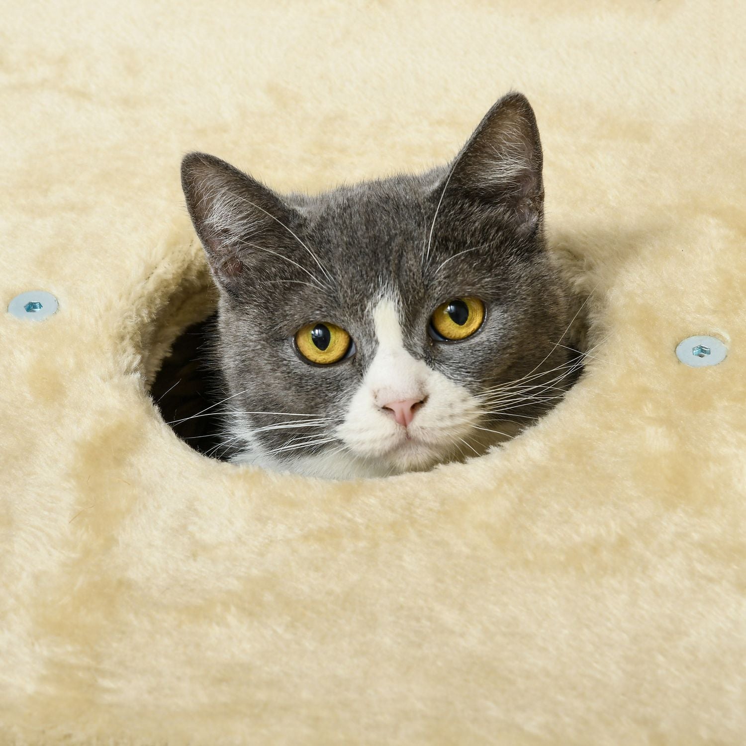 Kattskrapstolpe med grotta och säng, 74 cm, Beige