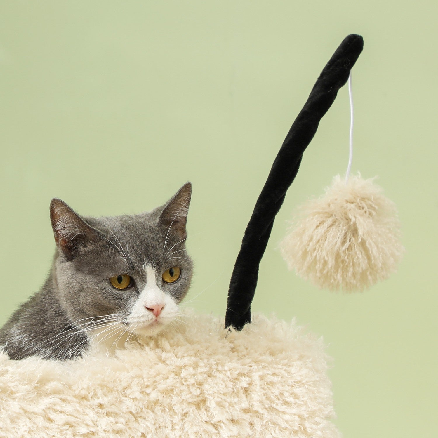 Kattträd med skrapstolpe, tunnel, för katter upp till 5 kg