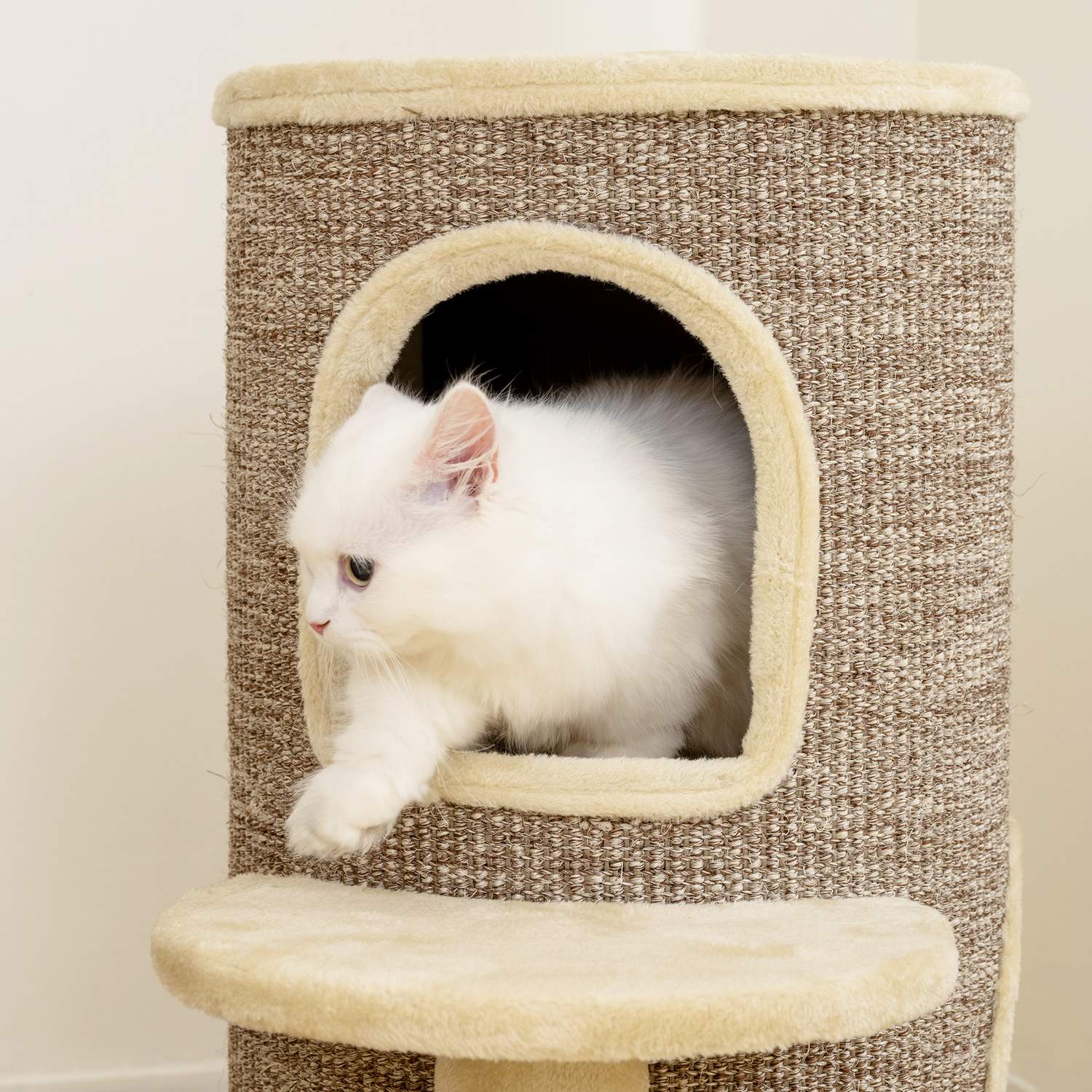 Klösträd med 2 nivåer, hoppplattform, beige