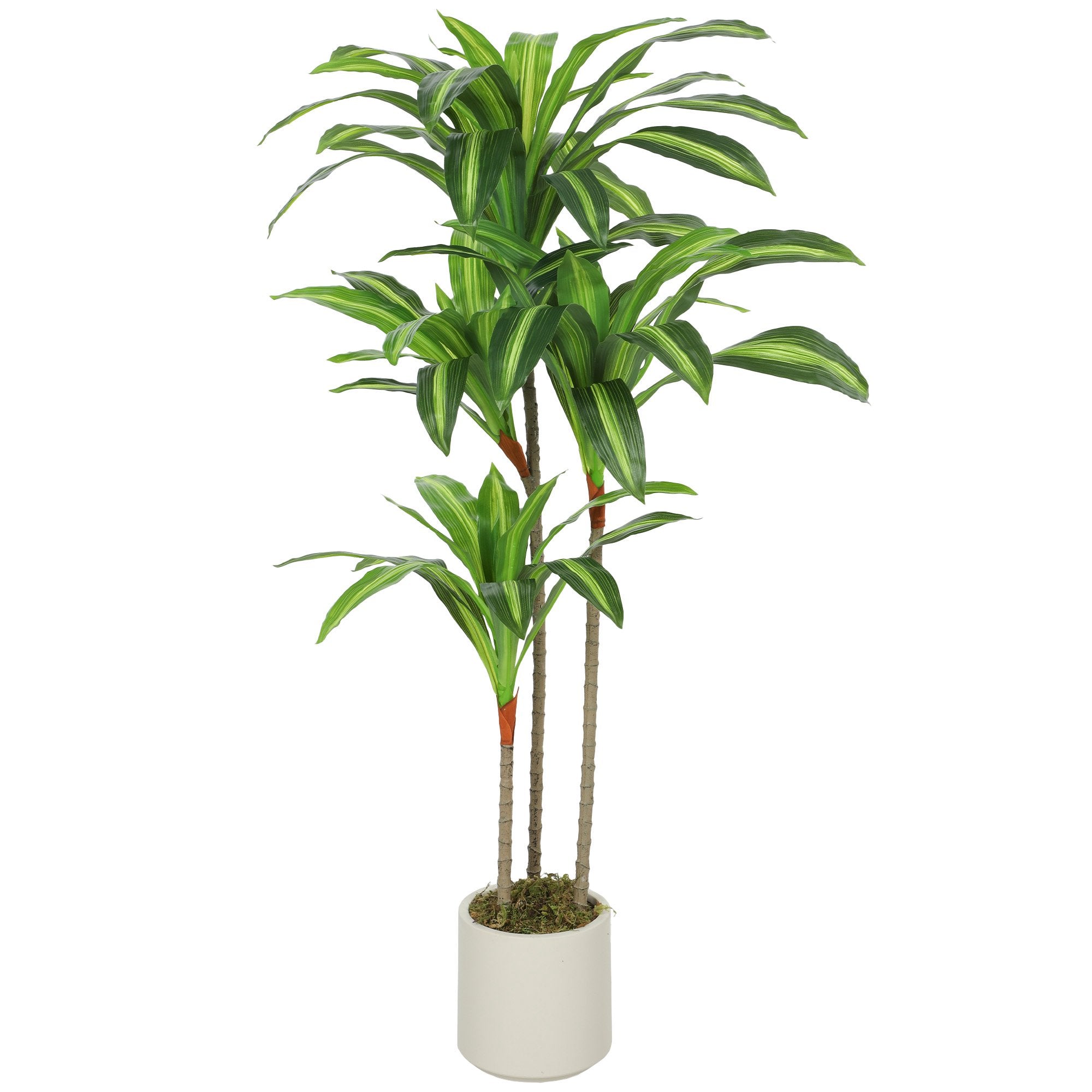 Konstgjord dracaena 120 cm, flexibla stammar, vit kruka