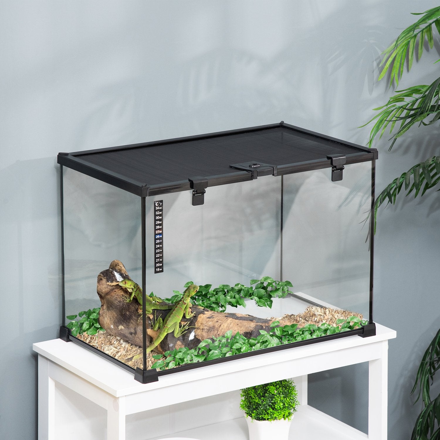 Reptilterrarium i glas med termometer, 50x30x35cm