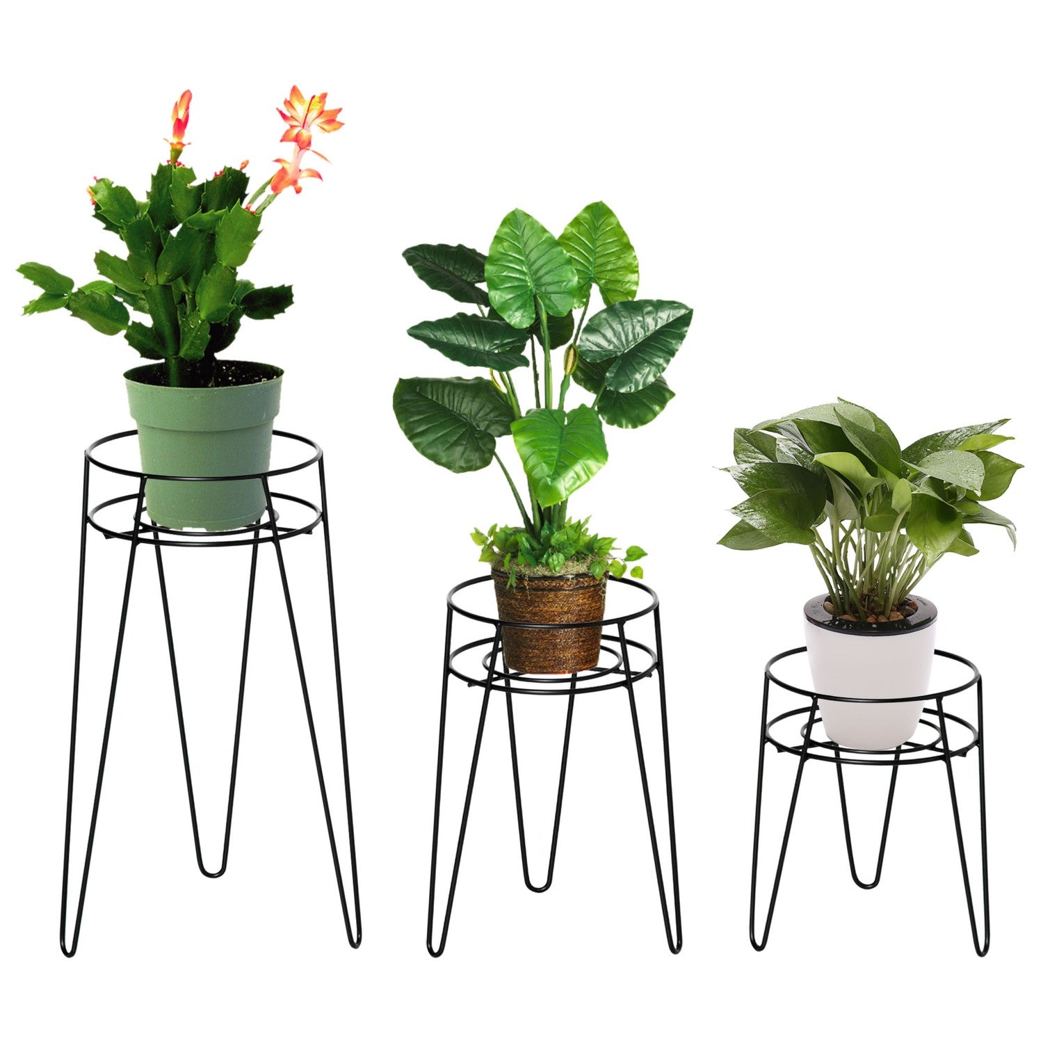 Set med 3 växtställ i svart metall för 16 cm krukor