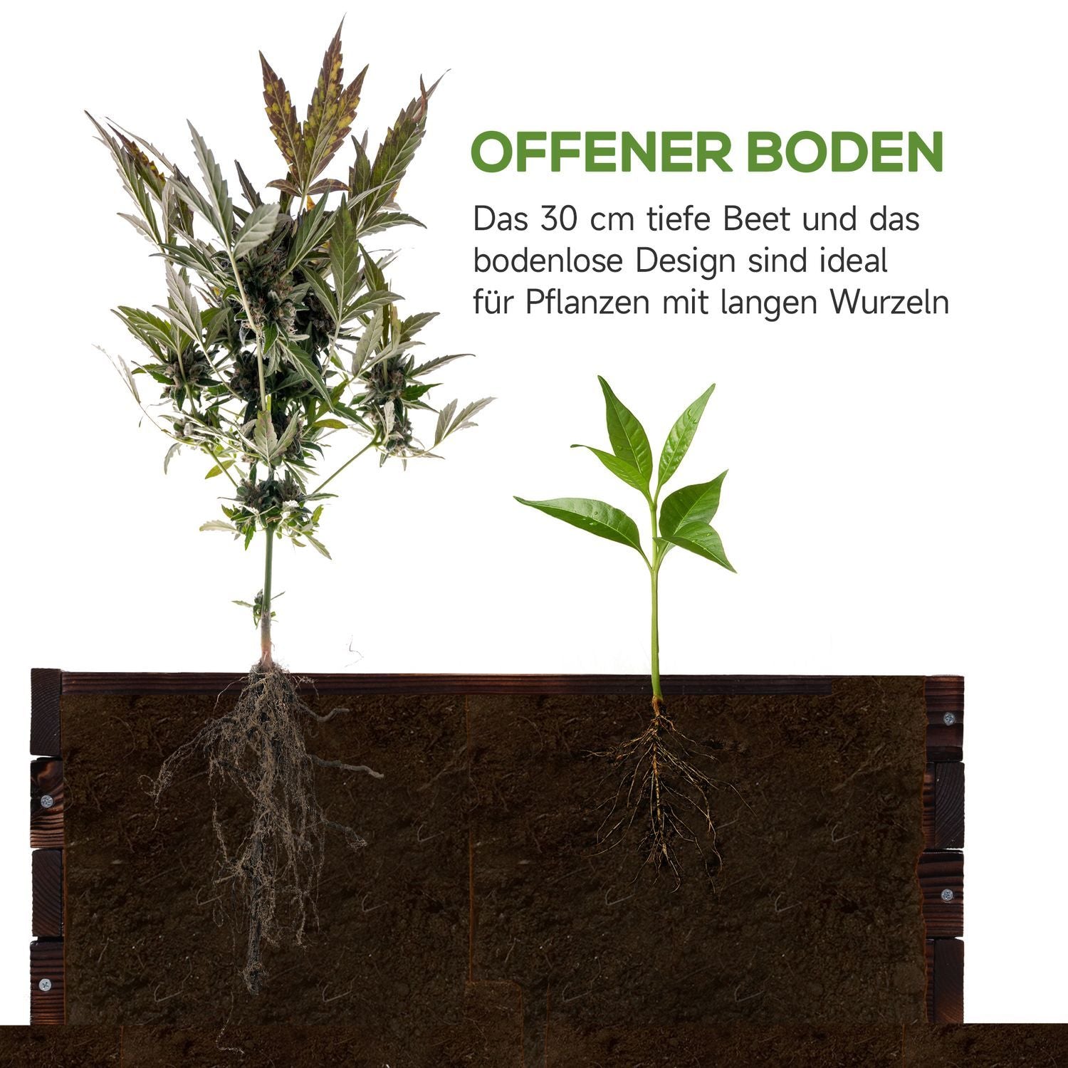 Høybed, planting, grønnsaksseng, urtebed, heltre, mørkebrun, 60 x 60 x 23 cm