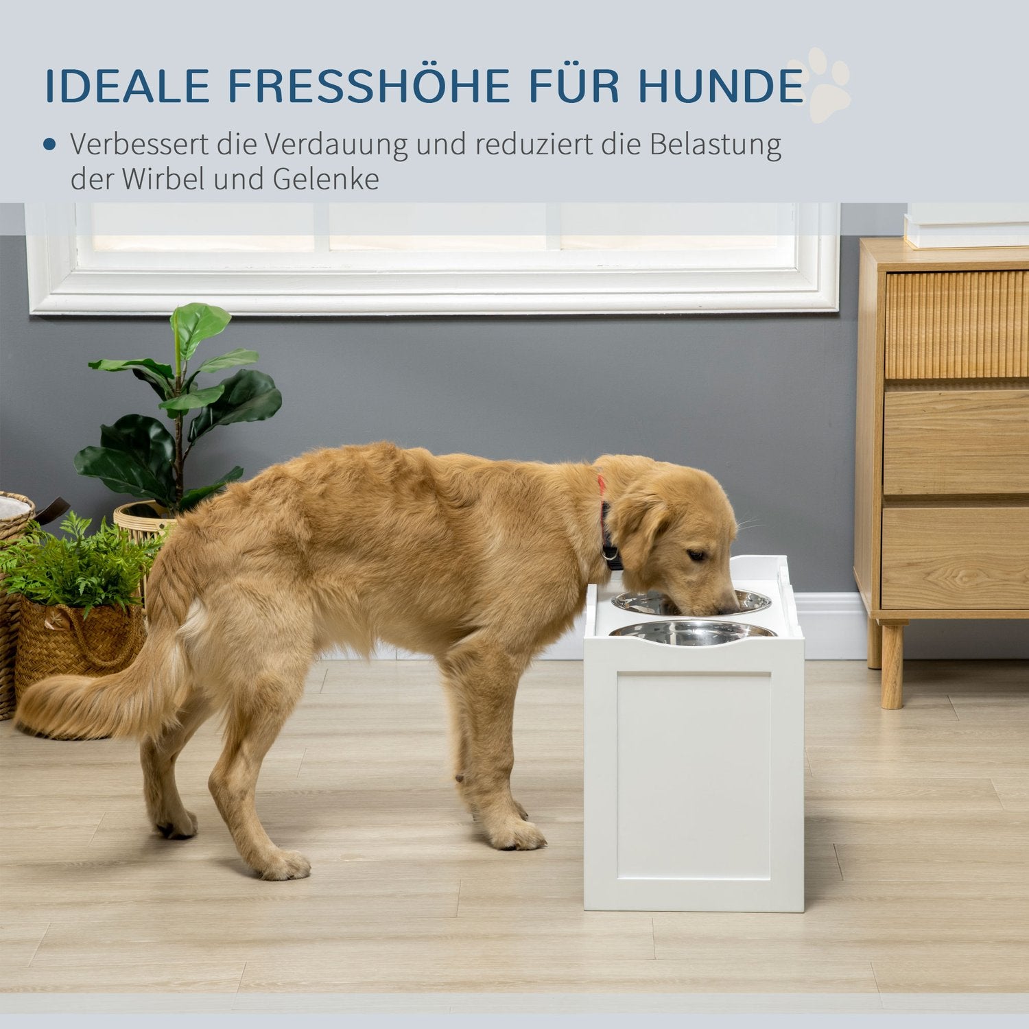 Upphöjd hundskål för stora hundar, 2 x 2L rostfritt stål