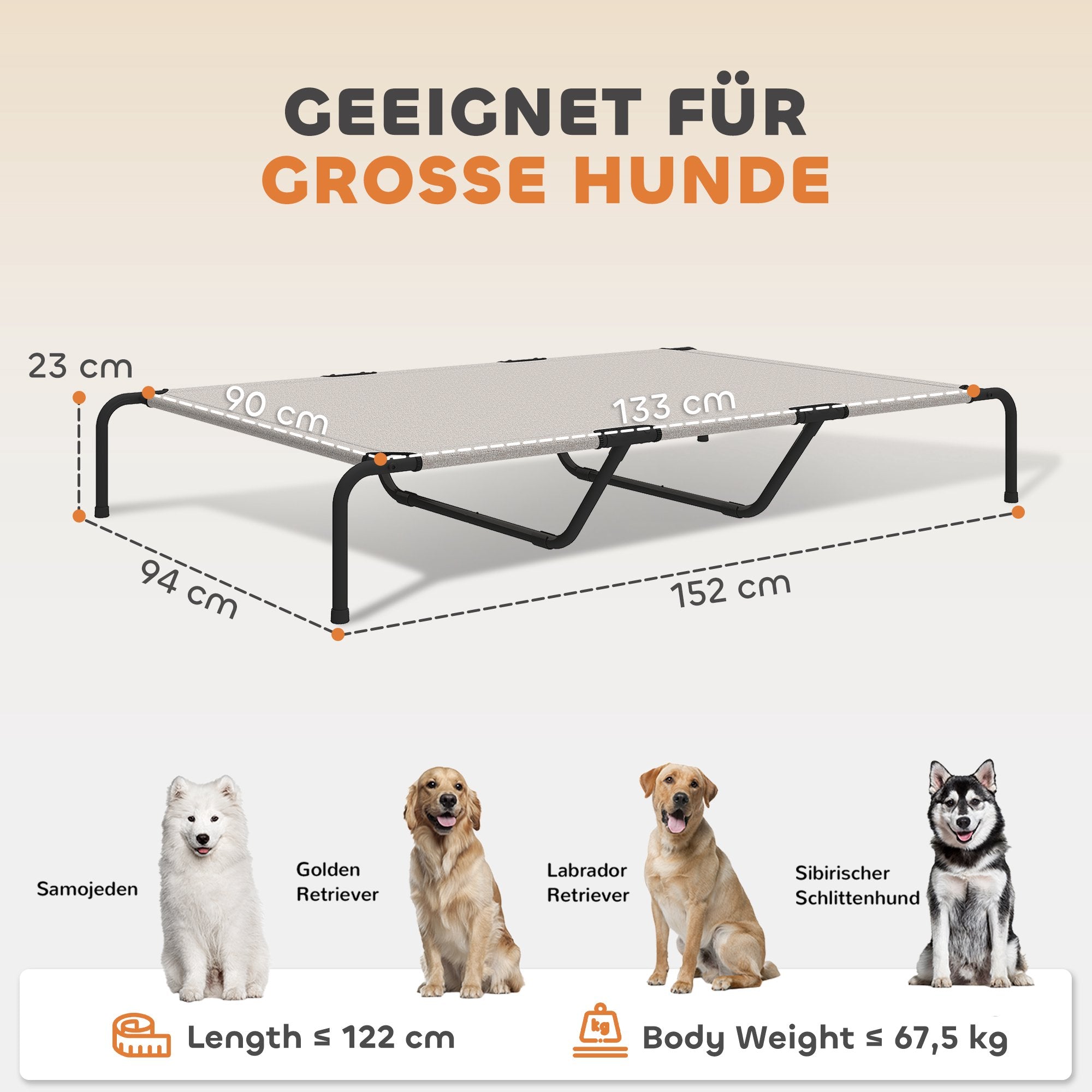 Upphöjd utomhushundbädd, stor, nät, 23 cm hög