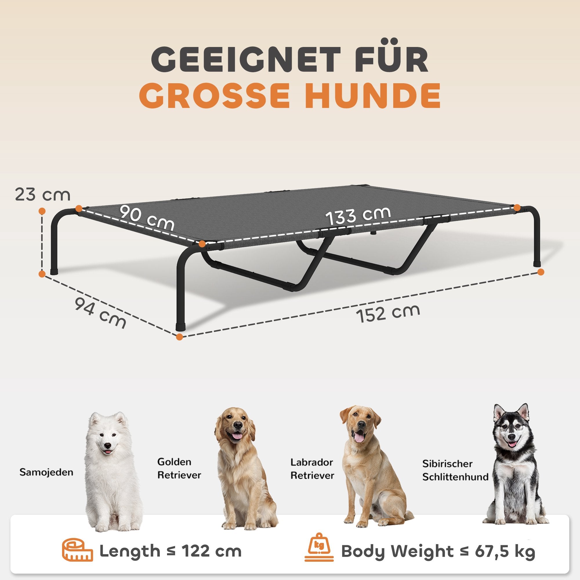 Upphöjd utomhushundbädd, stor, ventilerande nät, 23 cm hög