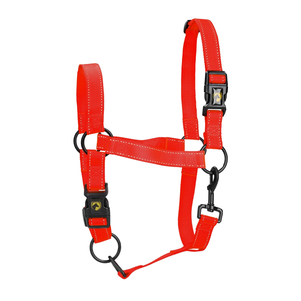 Utmärkt Horse Premium Grimma XS Mini Föl Röd
