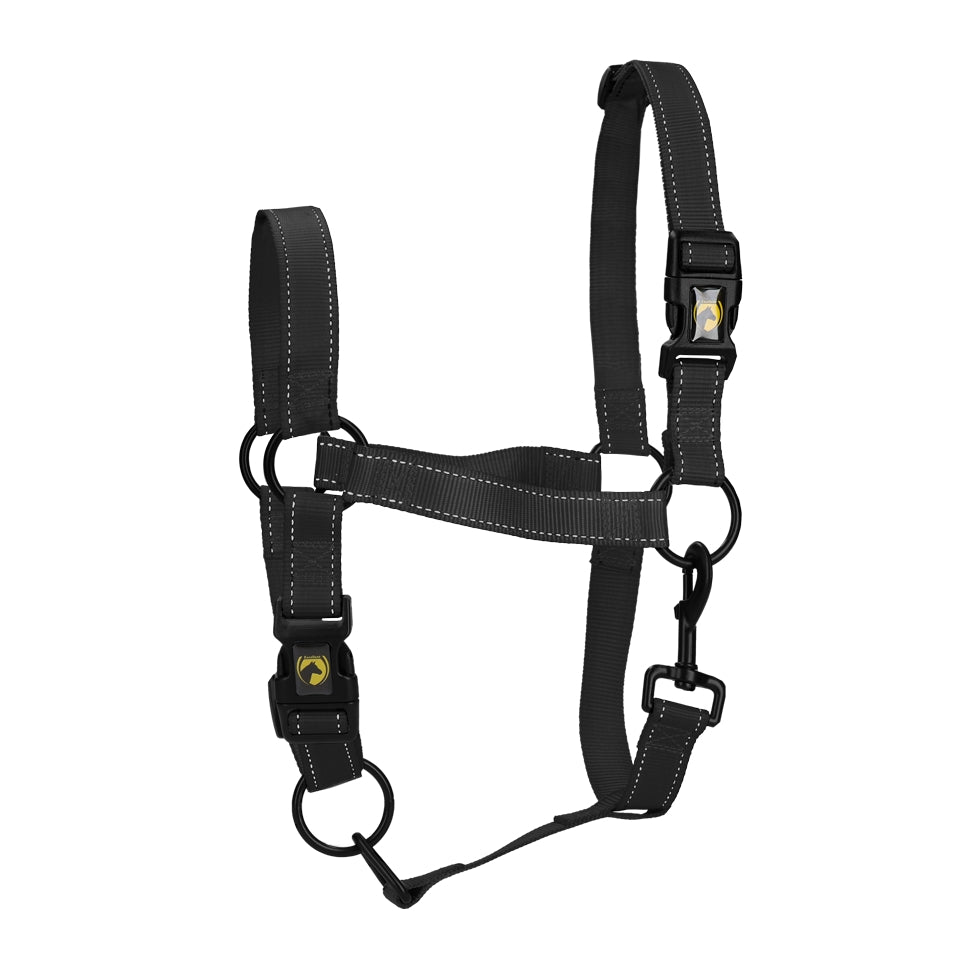 Utmärkt Horse Premium Grimma XS Mini Föl Svart