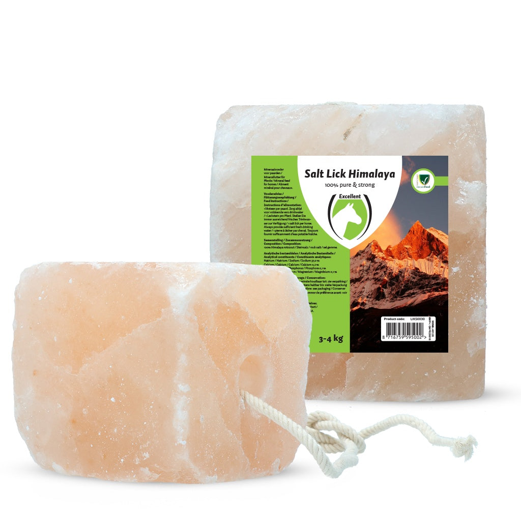 Utmärkt Horse Salt Lick Himalaya 3-4 kg (Med rep)