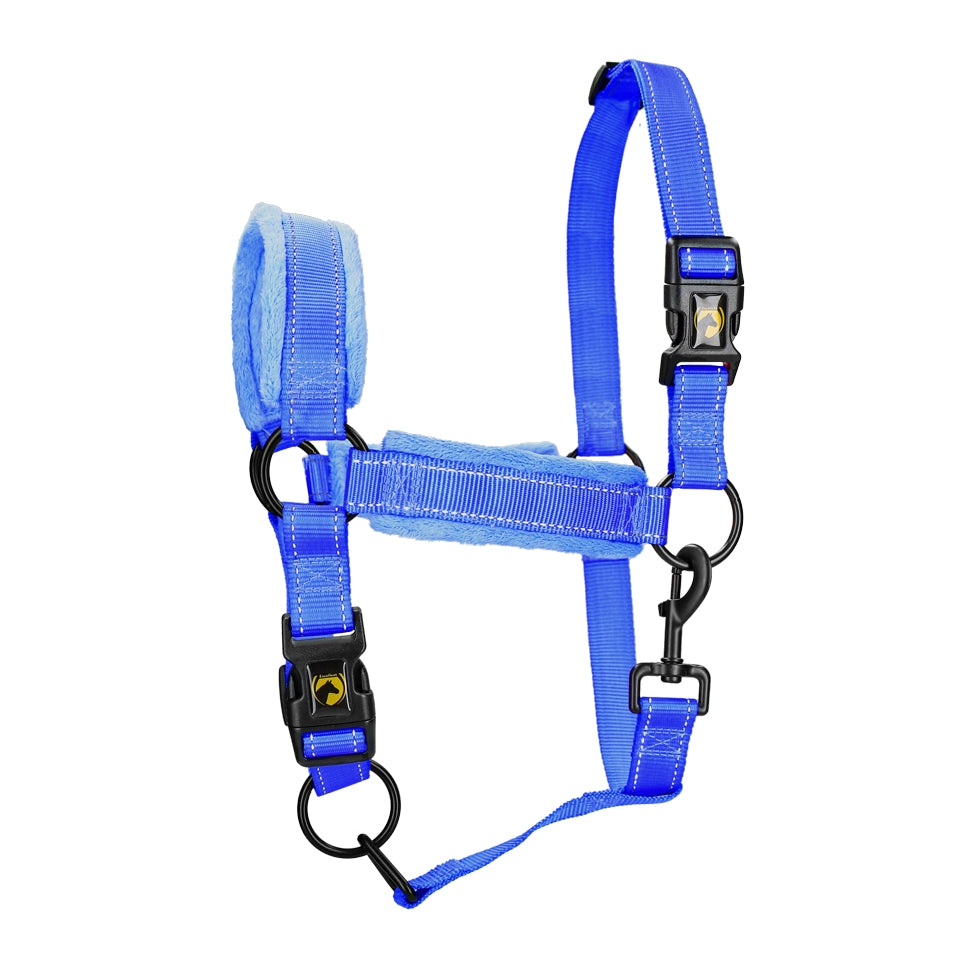 Utmärkt Horse Superior Grimma L Cob Blue
