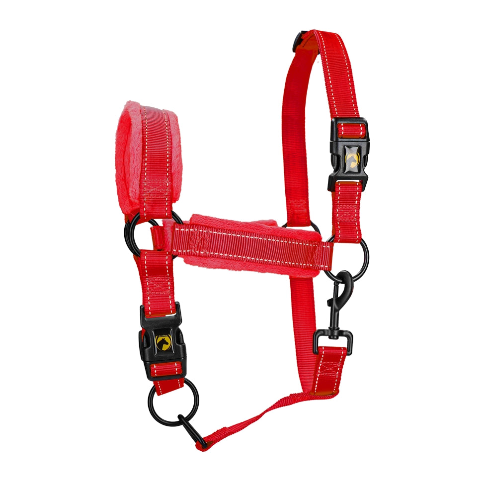 Utmärkt Horse Superior Grimma L Cob Red