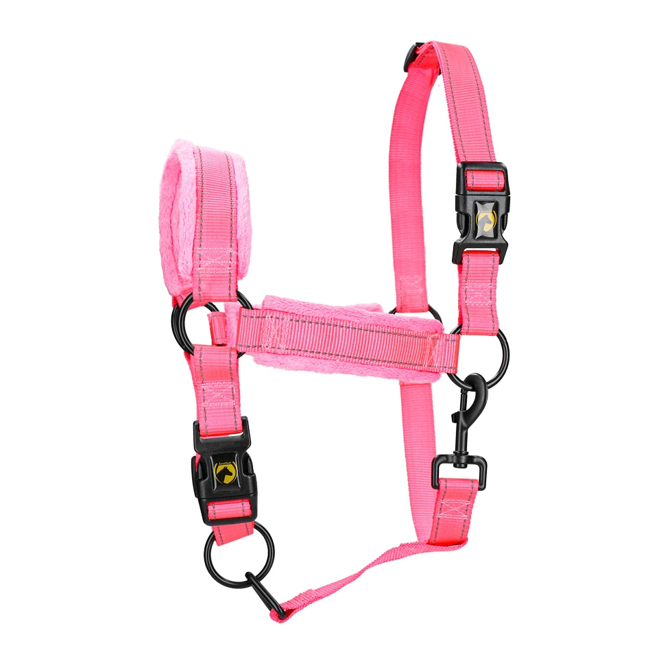 Utmärkt Horse Superior Grimma L Cob Rosa