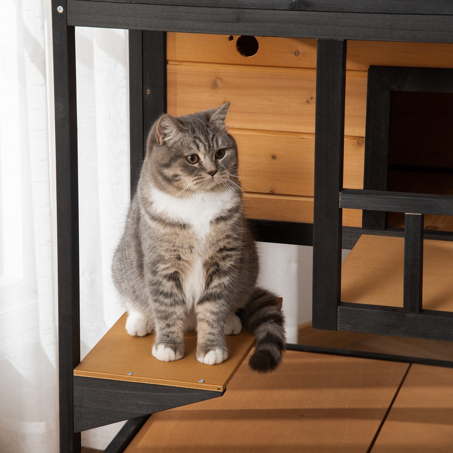 Utomhus Vintertät Gran Wood Cat House – 4 nivåer & trappor