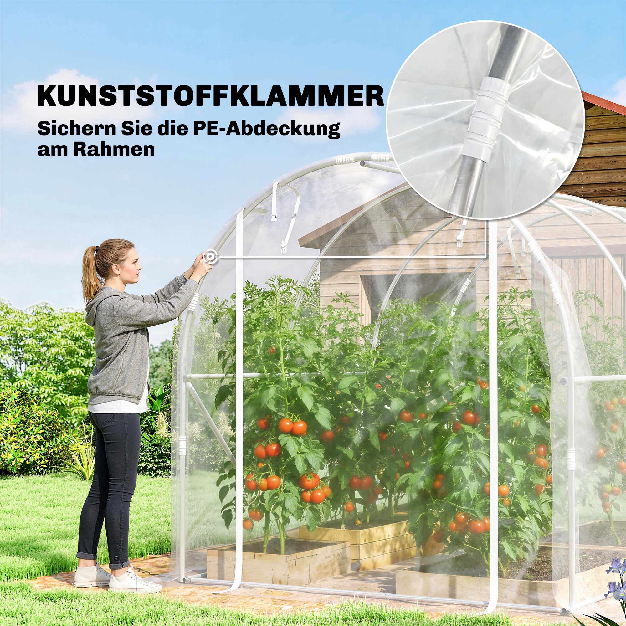 Växthus i polytunnelformat, stålram, UV PE-överdrag