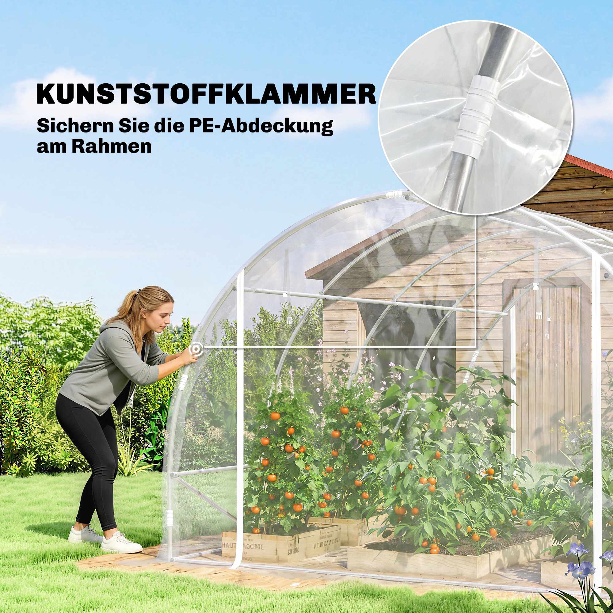 Växthus i polytunnelformat, stålram, UV PE-överdrag