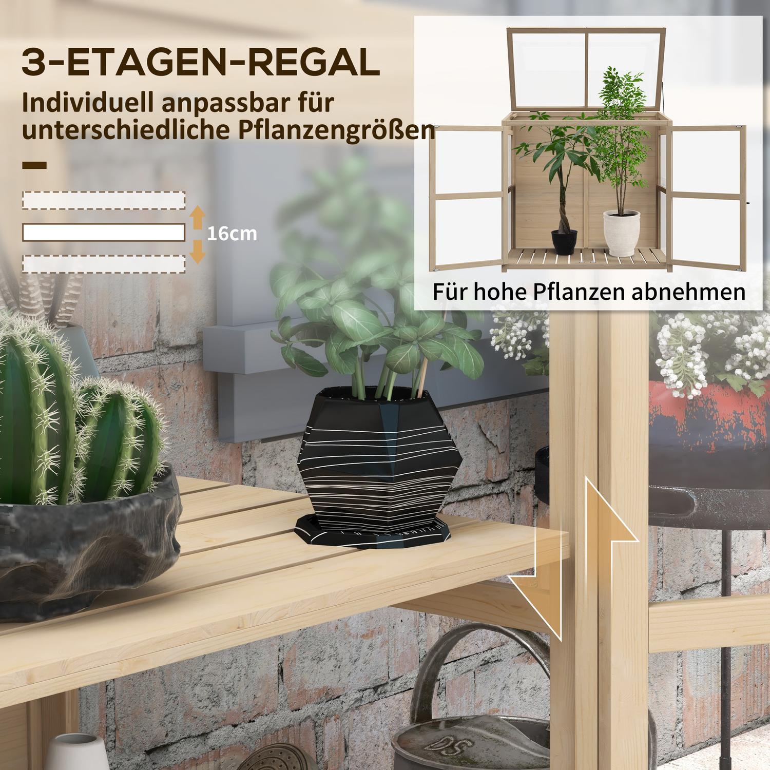 Växthus med 2-vånings kall ram i trä med takfönster