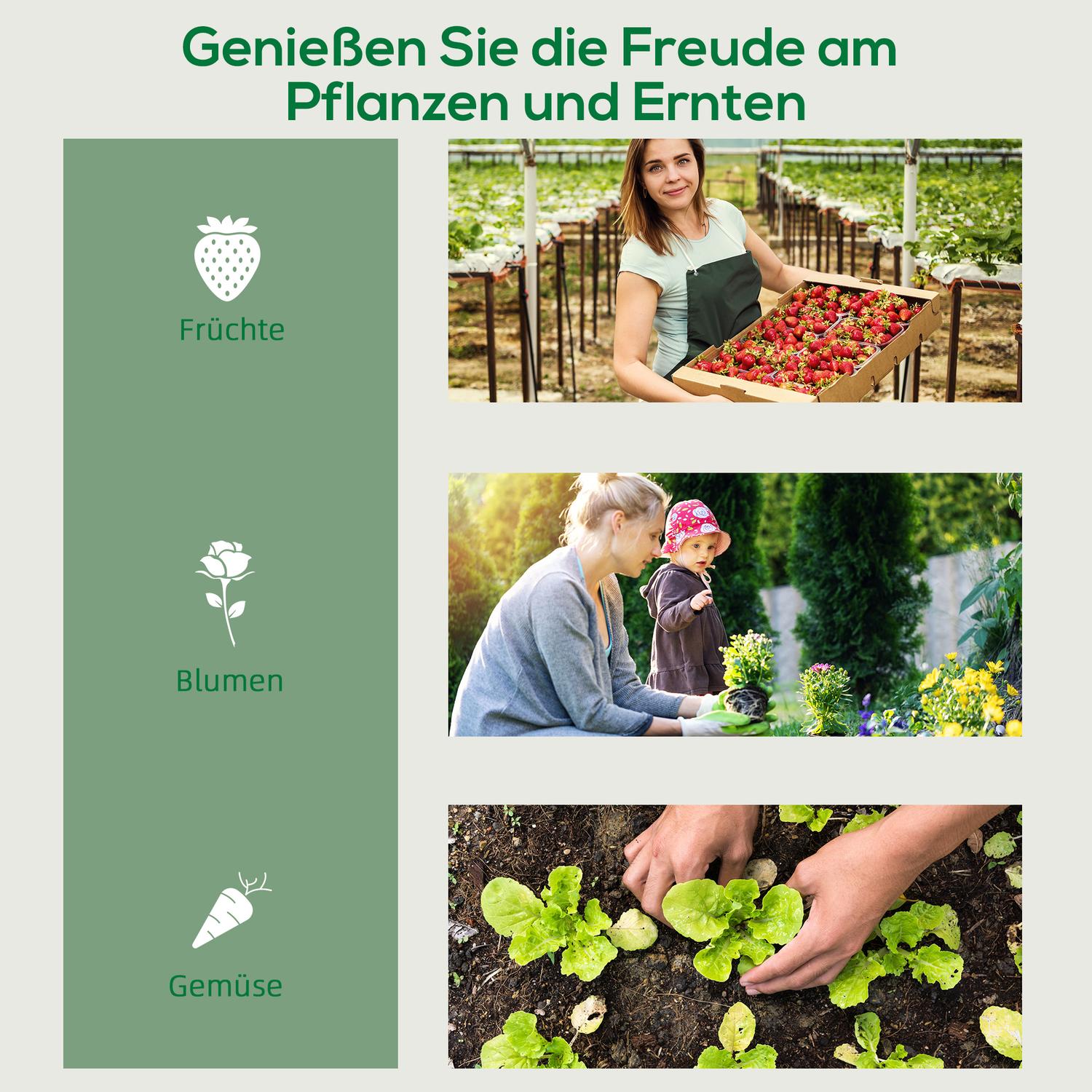 Växthus med 4 hyllor, Stålstomme, 69x50x165 cm