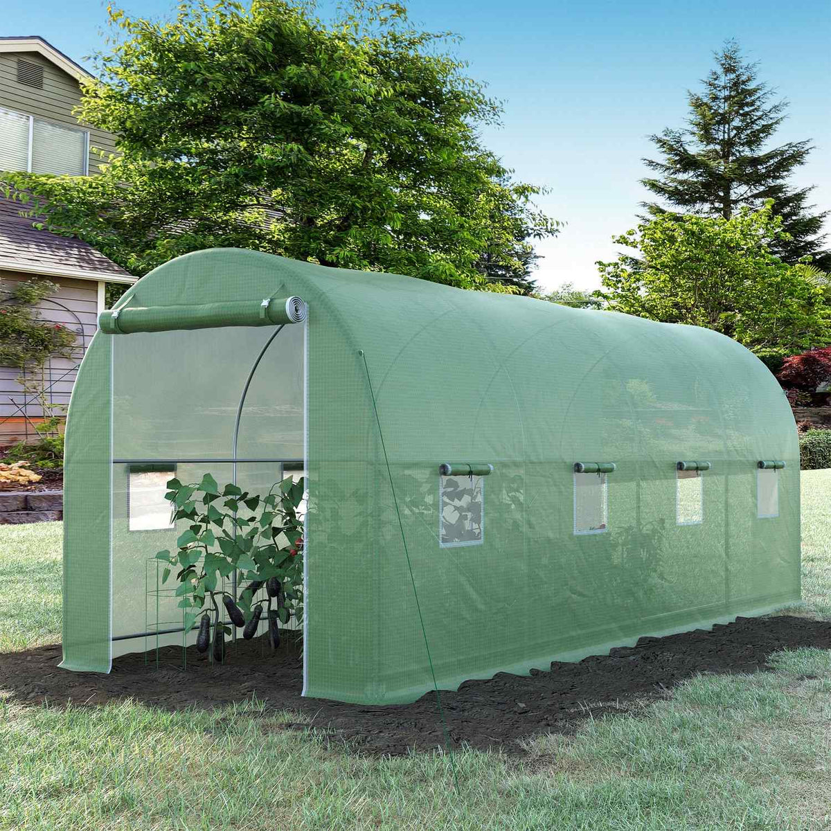 Drivhus polytunnel med vindu, grønn, 5x2x2,1m